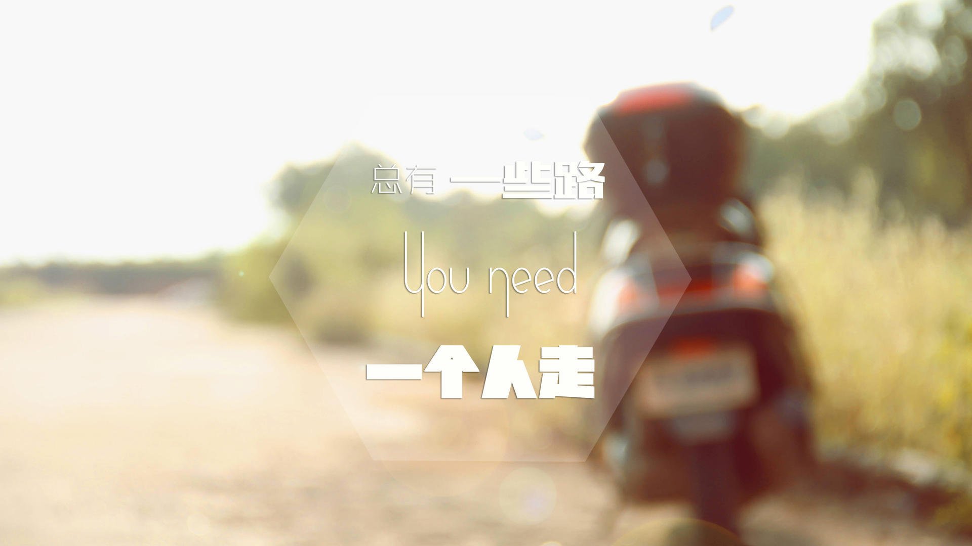 世界极限飞盘公开赛,空中飞舞的运动盛会,极限飞盘正式比赛场地