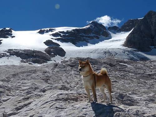 中国足球国际合作成果丰硕，青训交流合作不断深化，中国足协合作伙伴