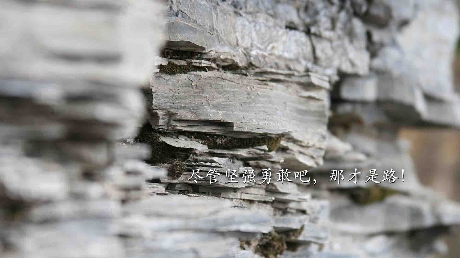 全球籃球熱潮:NBA在国际舞台的“佼佼者”地位不断巩固,nba篮球现状