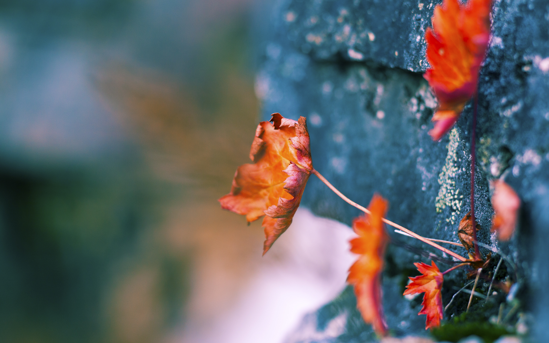 国务院办公厅印发《关于以冰雪运动高质量发展激发冰雪经济活力的若干意见》,推动冰雪