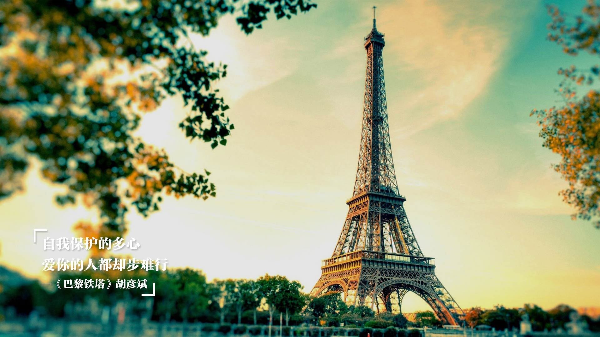 开云体育官方网入口-【比赛现场】明星运动员的赛场风采与策略布局，明星跟运动员比赛的节目