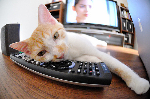 中国球员海外表现优异，球队寻求国际合作新路径，2021中国海外球员