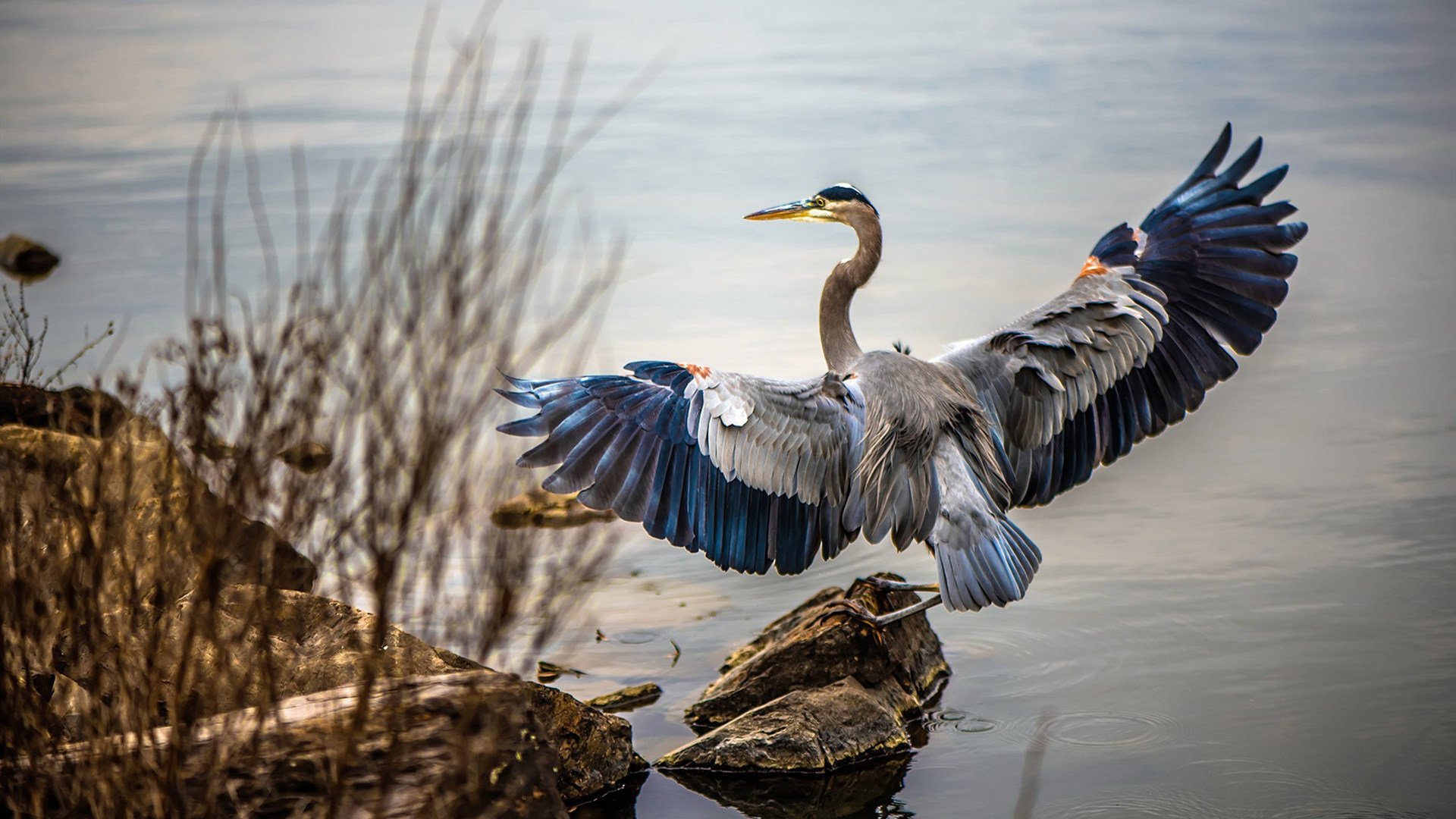女篮教练团队加强国际交流合作,女篮球教练简介