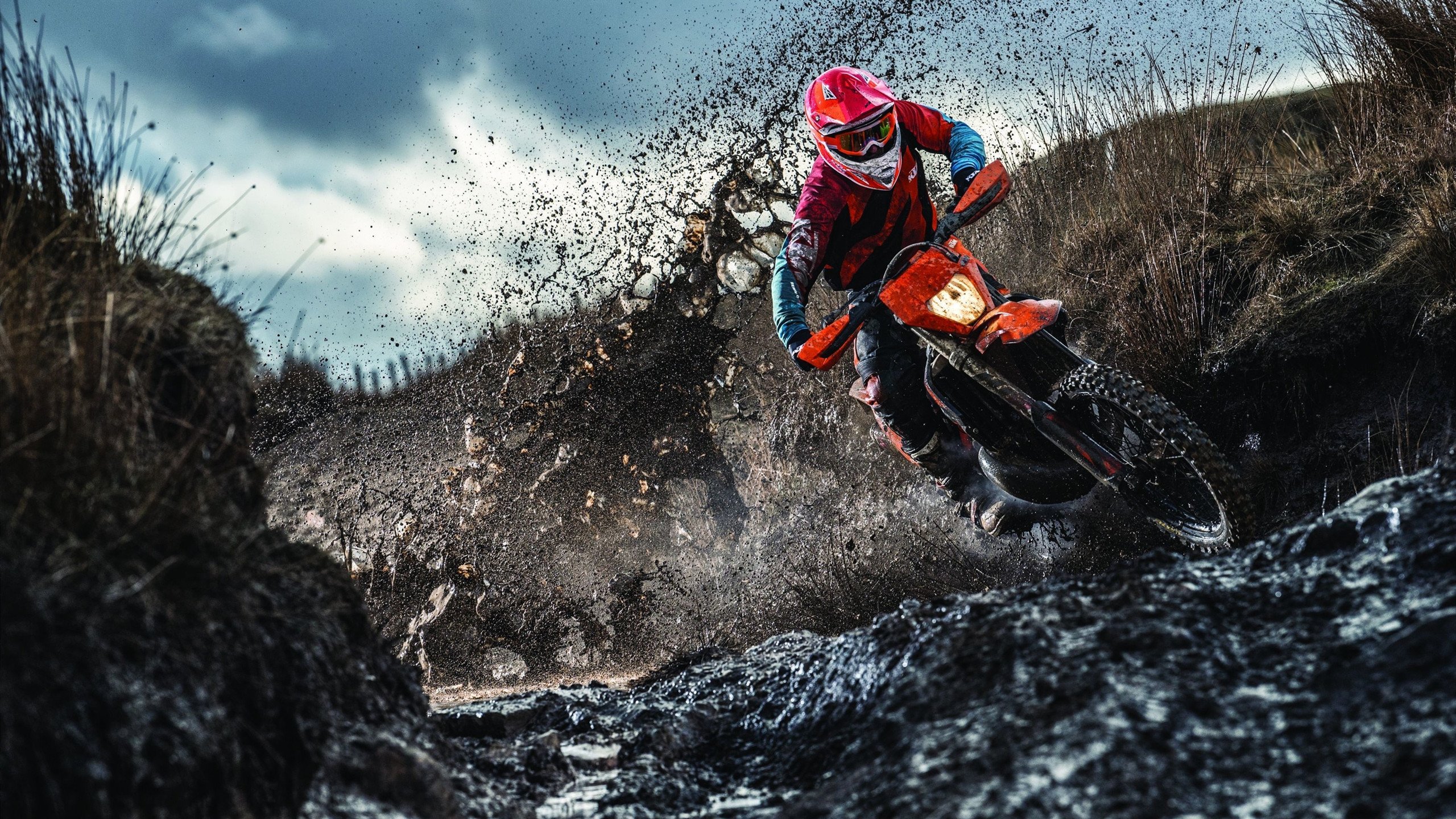 KAIYUN 中国大陆-自由泳短距离朝鲜选手冲进四强，自由泳比赛跳水出发视频